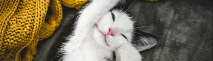 A black and white cat stretching on a grey blanket