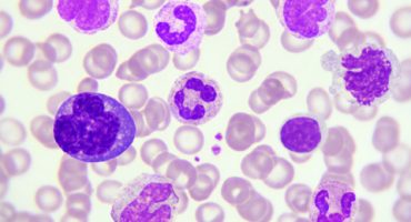 White Blood Cells